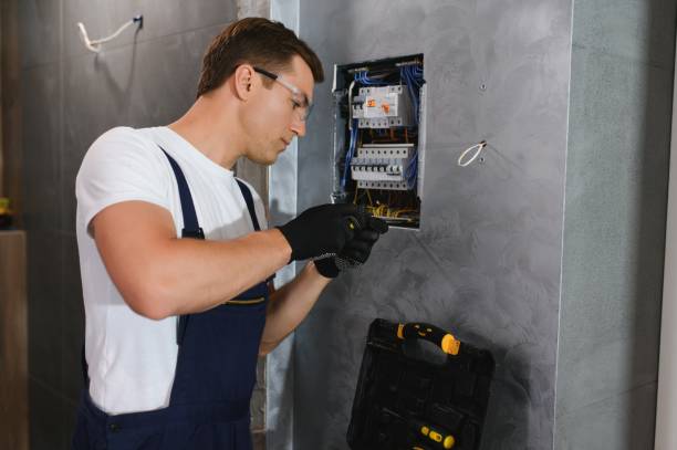 Best Electric Panel Repair  in Taylor Creek, FL