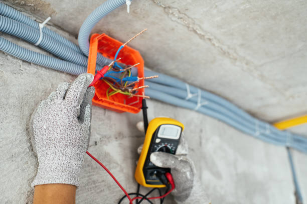 Best Local Electrician Companies  in Taylor Creek, FL