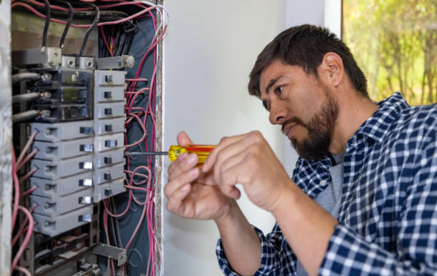 Best Electrical Rewiring Services  in Taylor Creek, FL